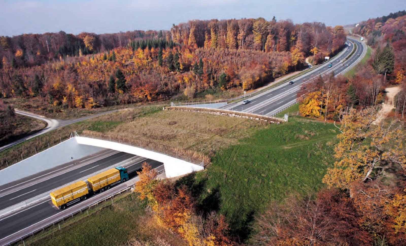 infrastrutture-ecologiche-la-rete-della-vita-waldwissen