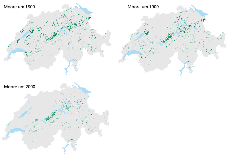 Entwicklung der Moorflächen in der Schweiz von 1800 bis 2000.
