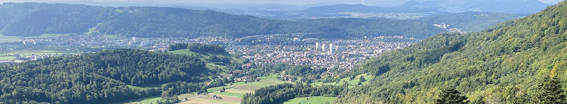 Services écosystémiques de la forêt suisse