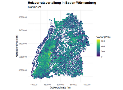 Dargestellt ist der Holzvorrat in Baden-Württemberg (Stand 2024). Die Werte wurden nur innerhalb der Waldgebiete berücksichtigt und zur Veranschaulichung auf eine Pixelgröße von 700 × 700 m aggregiert. Nicht bewaldete Flächen sind ausgeblendet. Farbskala in Vorratsfestmetern (Vfm).
