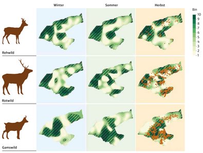Karten des Karwendels