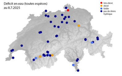 Graphique déficit hydrique