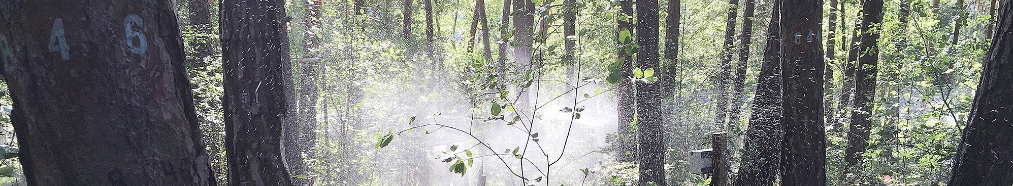 Long-term irrigation experiment VPDrought