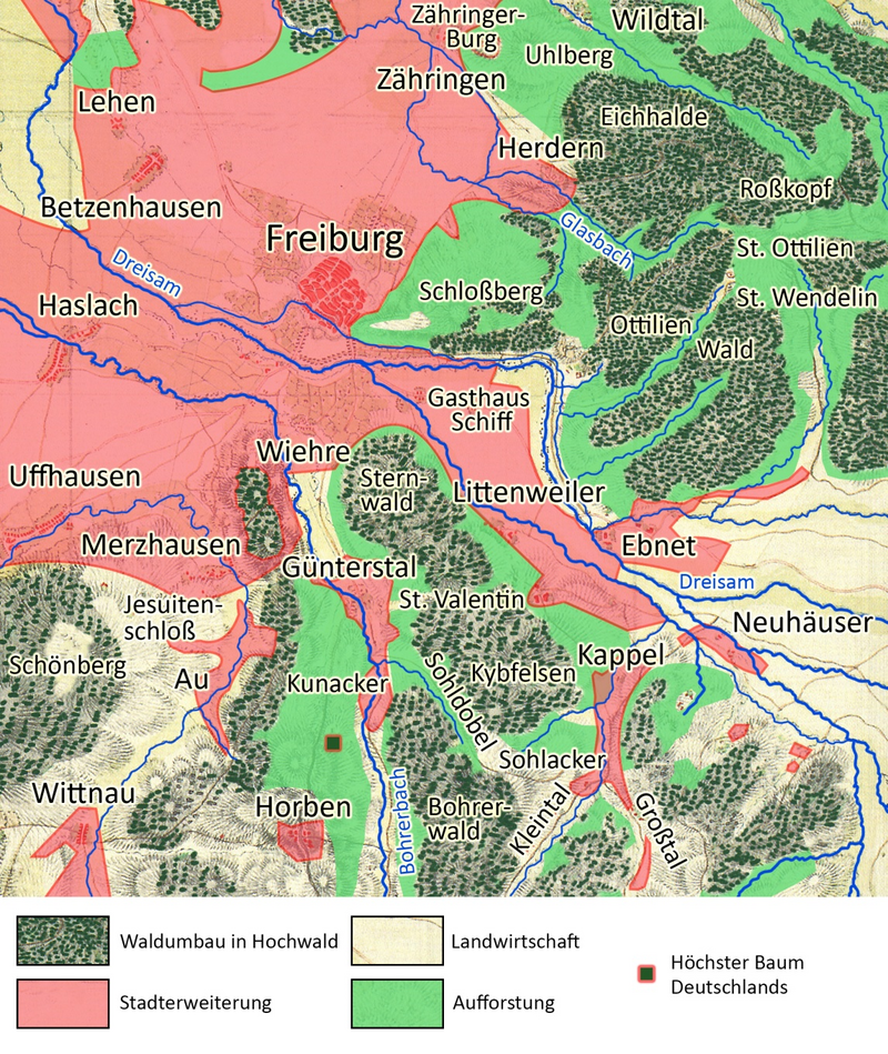 Stadtlandschaft Freiburg 2021 mit umgebauten und aufgeforsteten Wäldern sowie dem Standort des höchsten Baumes Deutschlands. Grundlage ist die Karte von 1790 (Abb. 3).