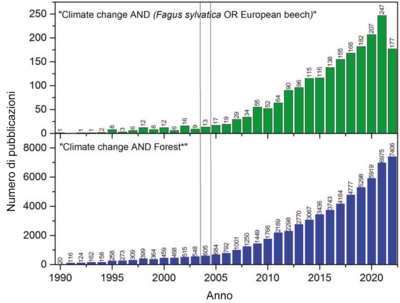 Grafico del forte aumento del numero di pubblicazioni su “Cambiamento climatico e faggio” tra il 1990 e il 2022