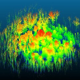 Prozessierte Punktwolke auf Plotgröße