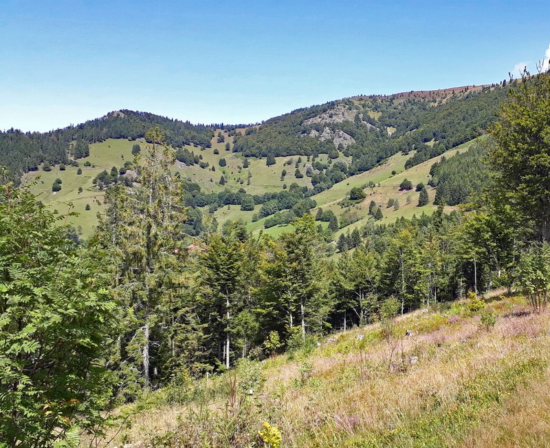 Blick vom Belchen, der vierthöchsten Erhebung des Schwarzwaldes, auf die Kulturlandschaft mit Hochwaldflächen.