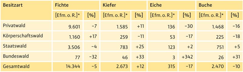 abelle zum Holzeinschlag 2025 nach Besitzart und Baumart. Dargestellt sind die Einschlagmengen von Fichte, Kiefer, Eiche und Buche in Erntefestmetern ohne Rinde sowie die prozentuale Veränderung gegenüber dem Vorjahr für Privat-, Körperschafts-, Staats- und Bundeswald sowie den Gesamtwald.