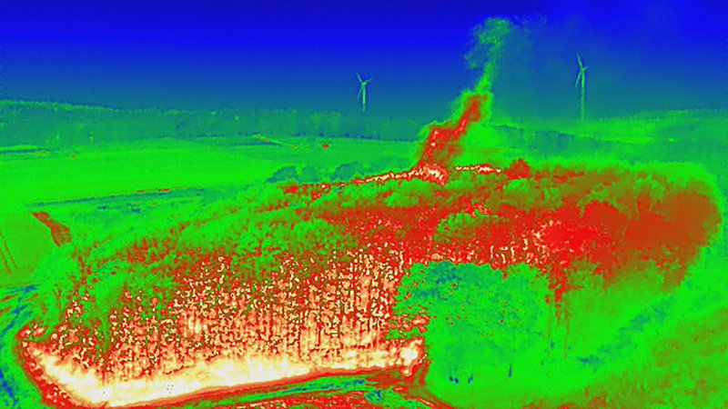 Drohnenaufnahme mit Wärmebildkamera aus ähnlicher Perspektive wie Abb. 1. Neben dem Boden weist auch der durch den Bestand ziehende Rauch erhöhte Temperaturen auf. 