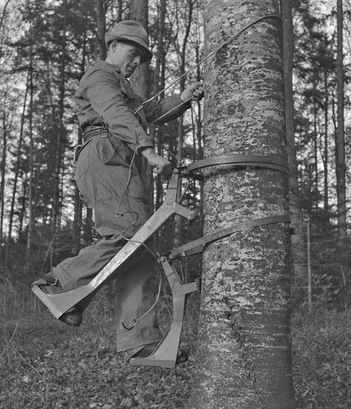 Präsentation des sogenannten “Baumvelos"