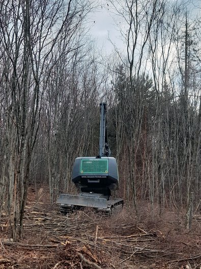 Die Holzernte erfolgte im gesamten Bestand mit einem Harvester Neuson 264 HVT