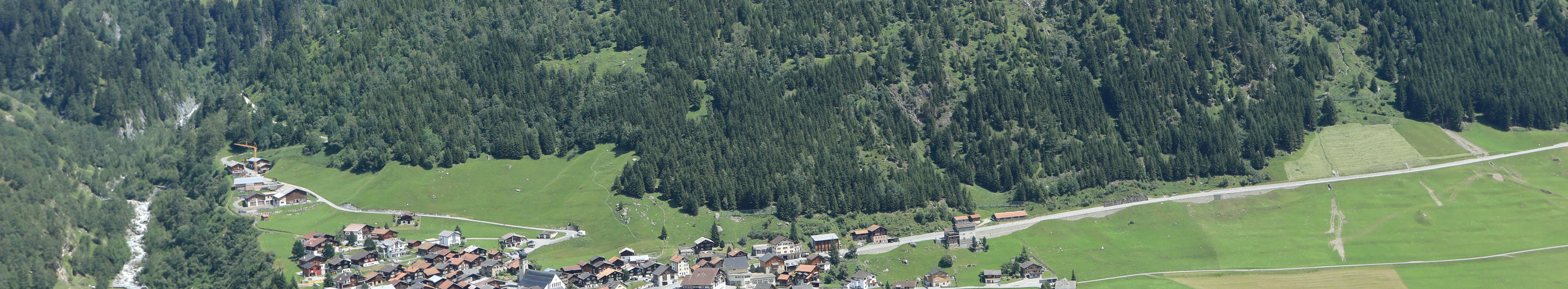 Schutzwald