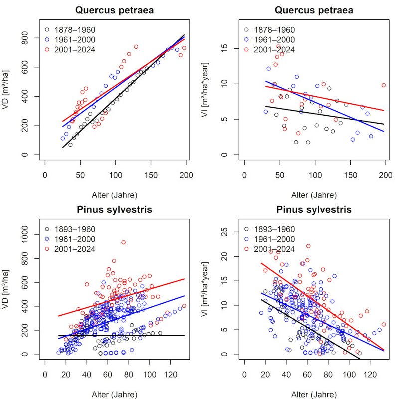 Beziehungen zwischen Vorrat und Volumenzuwachs zum Baumalter für Traubeneiche und Gemeine Kiefer