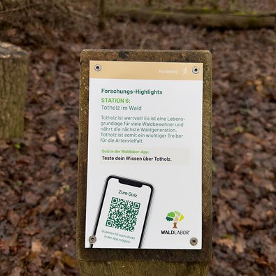 Informations-Stehle im Waldlabor
