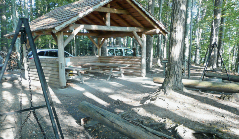 Freizeitanlage im Wald