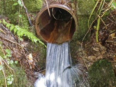 Verrohrung mit Absturz am Auslauf ist Wanderungshindernis.