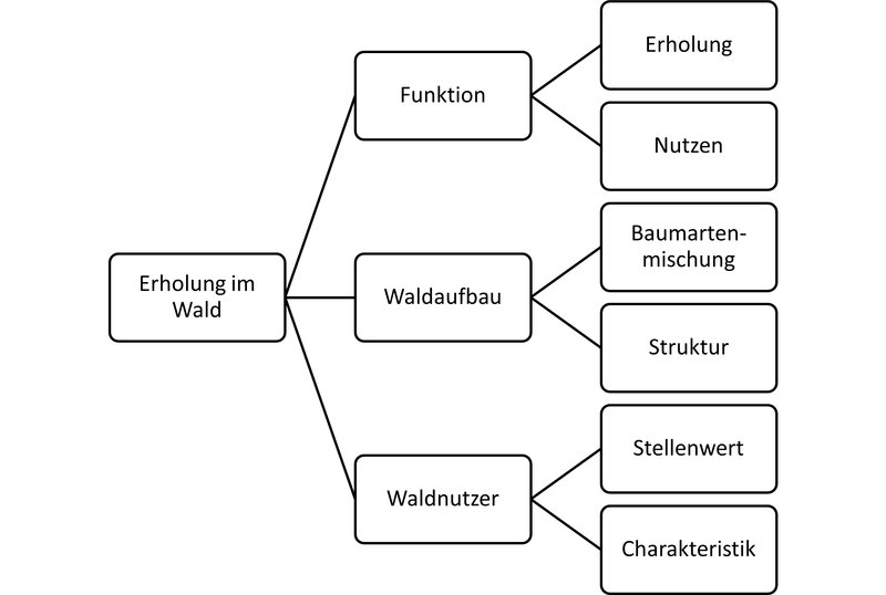 Schaubild stellt konzeptionellen Rahmen der Studie durch Begriffe und Verbindungen dar