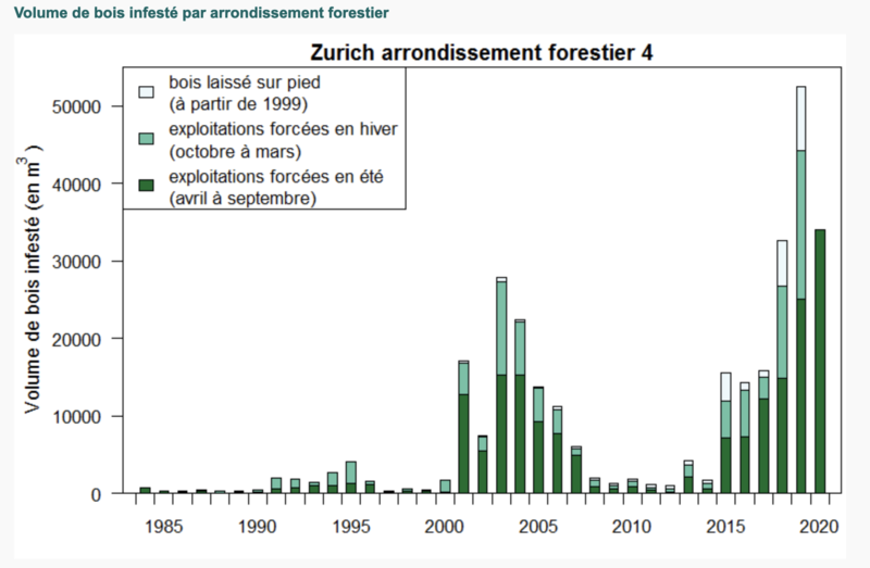 Volume de bois infesté dans le 22e arrondissement forestier vaudois