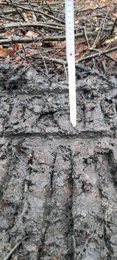 Fahrspuren des Jarcrac Evopro bei feuchter Witterung