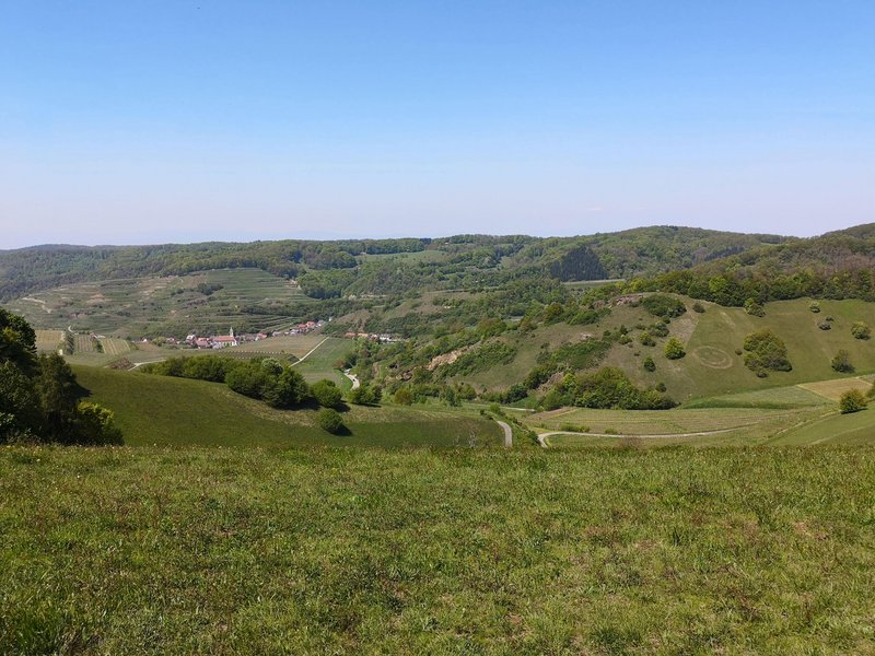 Kulturlandschaft im Kaiserstuhl: Blick von der Degenmatt im Naturschutzgebiet Haselschacher Buck in Richtung des kleinen Winzerdorfs Schelingen mit seinen Weinterassen. Schelingen befindet sich im Herzen des ehemaligen Vulkans, der heute die Heimat viele seltener Tier- und Pflanzenarten (z. B. Bienenfresser, Smaragdeidechse und Orchideen) ist.