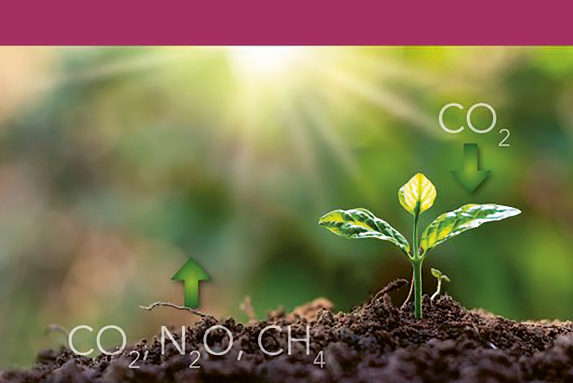 Titelseite, die eine wachsende Pflanze zeigt mit dazugefügter Grafik, die Kohlenstoffaustausch visualisiert