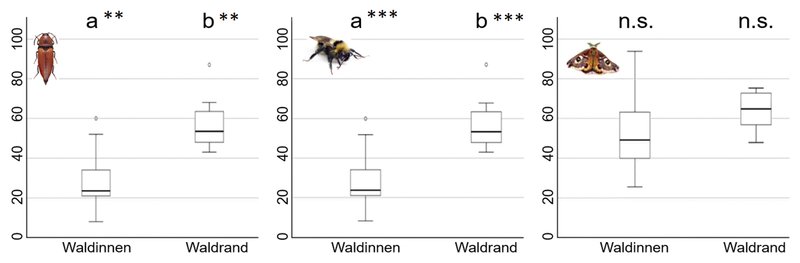 grafische Übersicht