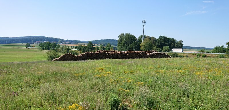 Holzploter auf einer Wiese
