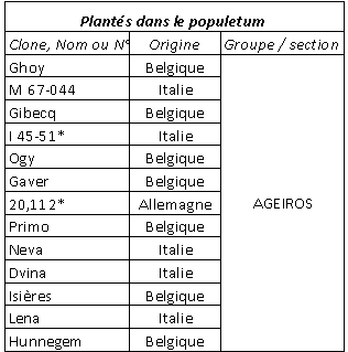 Liste des clones du populetum