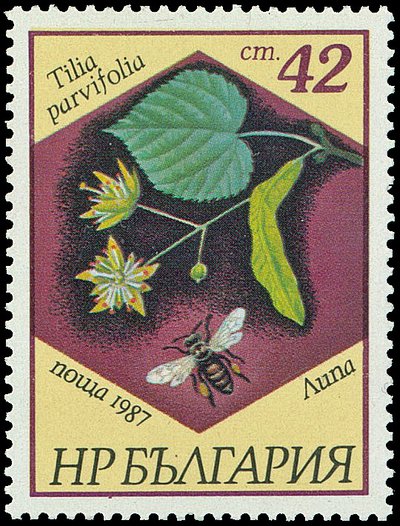 Lindenzweig und Biene auf bulgarischer Briefmarke