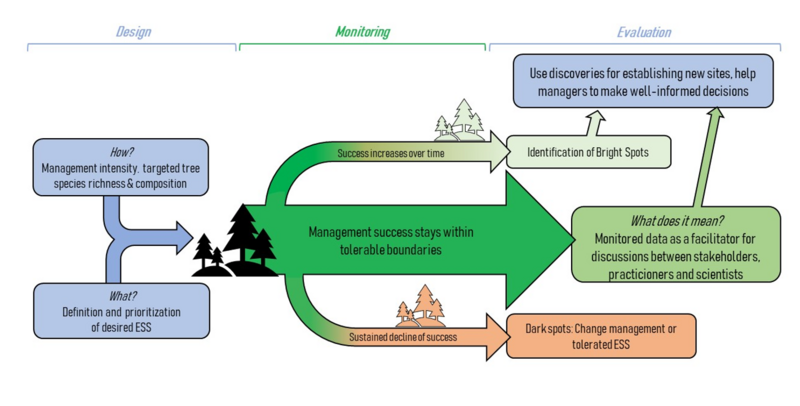 Learn through experiments