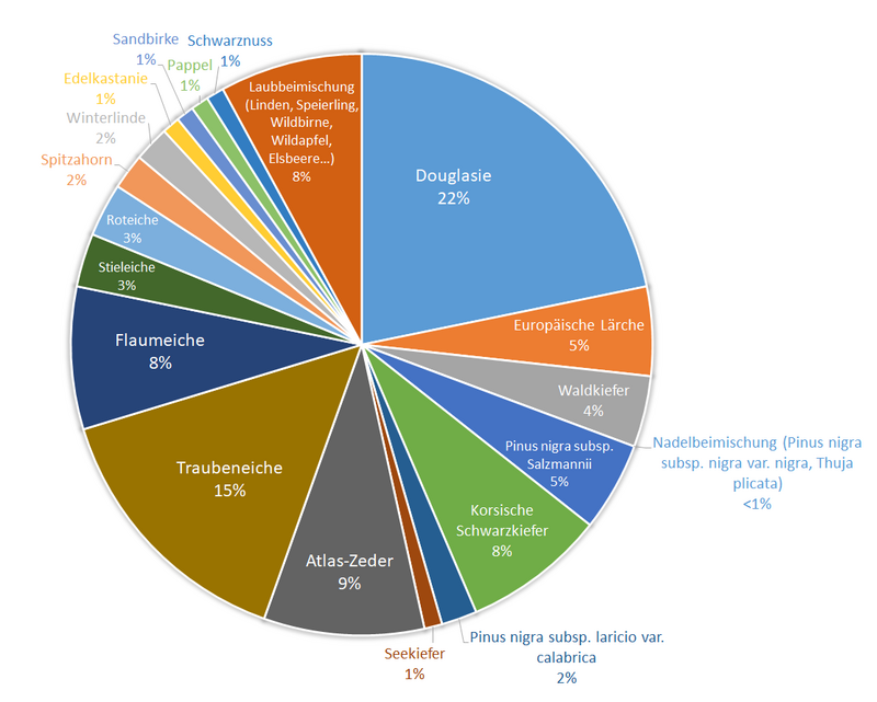 Plan de Relance im Kommunalwald des Départements Haut-Rhin: Anteil der gepflanzten Baumarten (2020-2024)