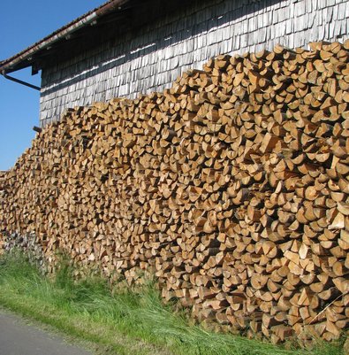 Vorbildlicher Brennholzstapel