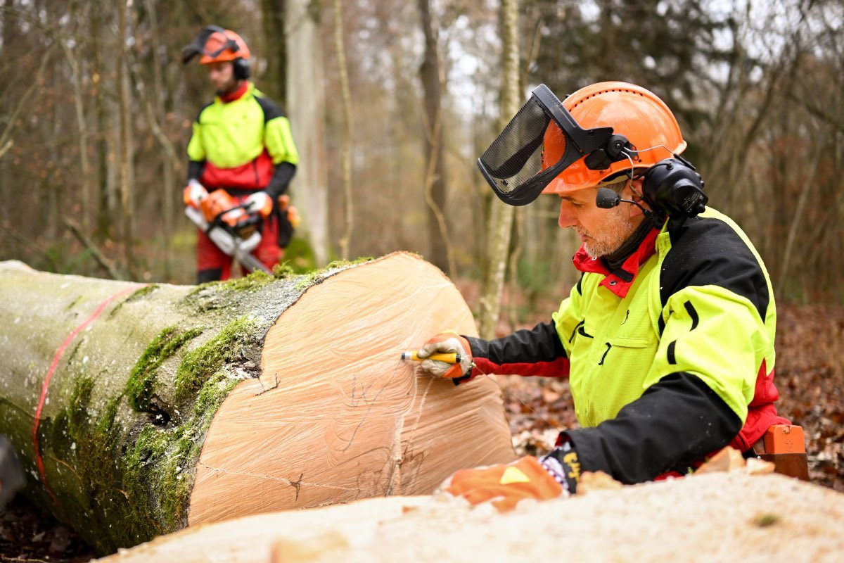 Waldbewirtschaftung im Kleinprivatwald