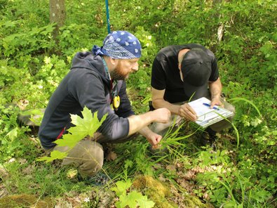 Two people select ground plants