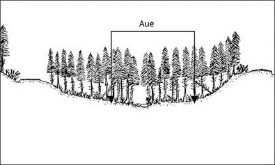 Querschnitt durch ein Muldental (nach Graff, P., 2002), Aue mit Pfeilen gekennzeichnet