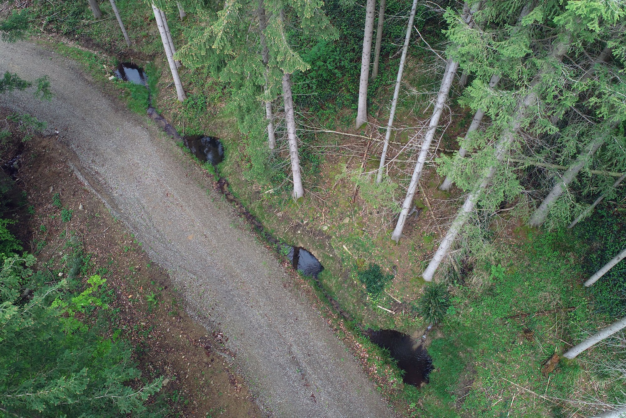 Durch lokale Aufweitungen und Vertiefungen entstehen kleine Retentionsräume im Wegeseitengraben, die den Abfluss bremsen und Wasser zwischenspeichern.