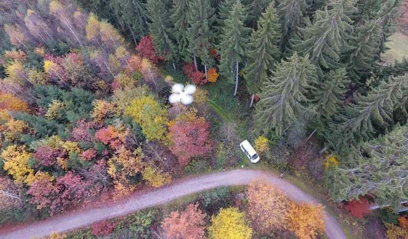 Luftbild eines Waldes