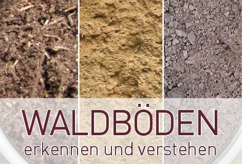 Cover des Waldbodenfächers
