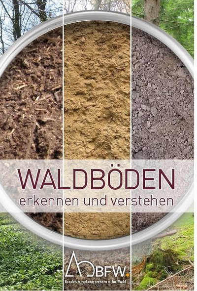 Waldbodenfcäher Cover