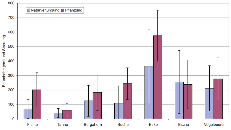 Baumhöhen Pflanzung-Naturverjüngung