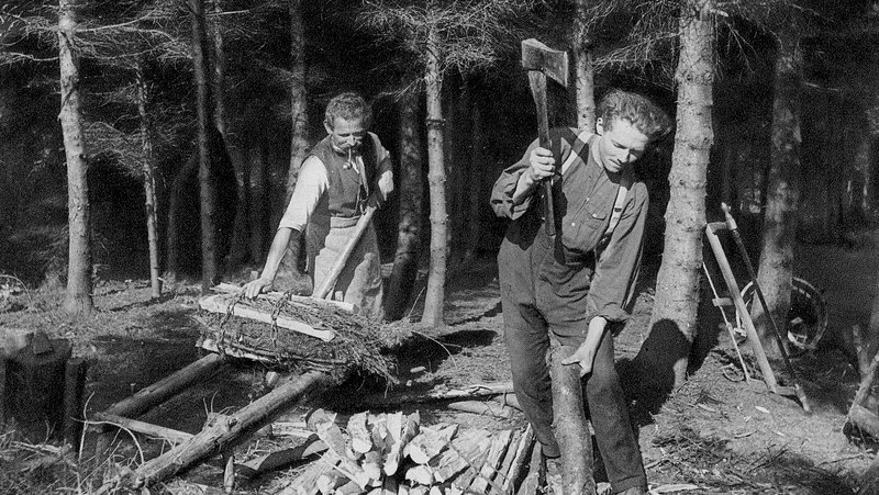 Traditionelle Formen der Waldnutzung in der Schweiz 1800-2000