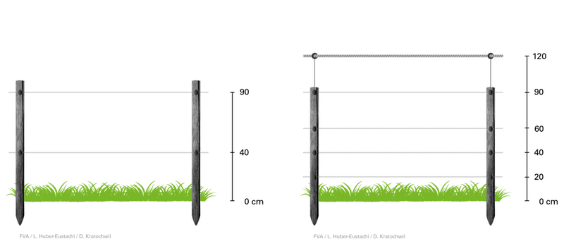 Weidezaun mit zwei stromführenden Leitern auf 40 und 90 cm Höhe (links) und beispielhafte Aufrüstung eines Weidezaunes (rechts): stromführende Leiter auf 20-40-60-90-120 cm Höhe, zusätzliche mobile Streckenpfosten, vorhandene Eckpfosten werden mit Abstandsisolatoren eingesetzt.