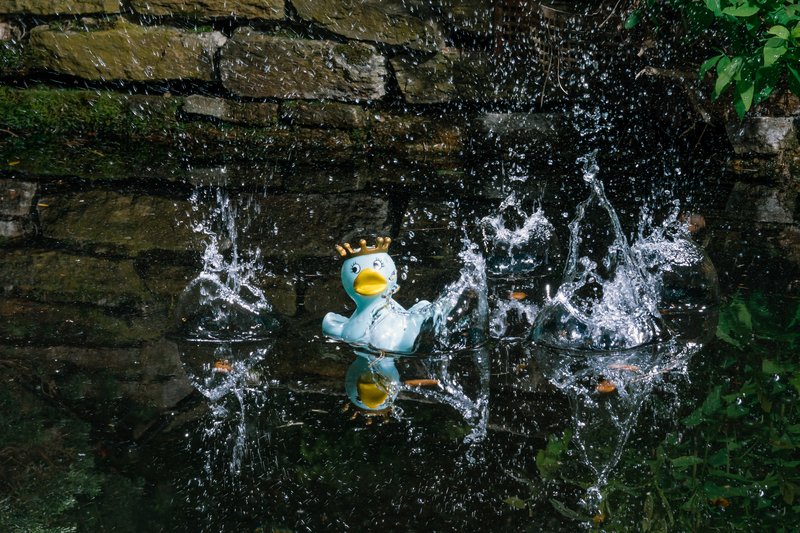 Gummiente mit Krone auf dem Kopf in Gewässe