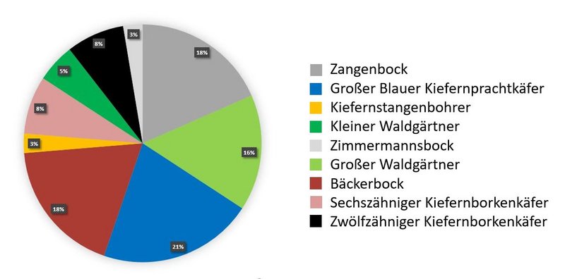 Stehendbefall Holz- und Rindenbrüter