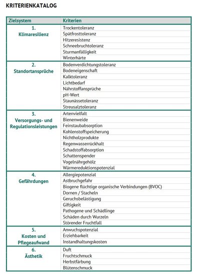 Der Kriterienkatalog zur Beurteilung der Stadtbaumarten.
