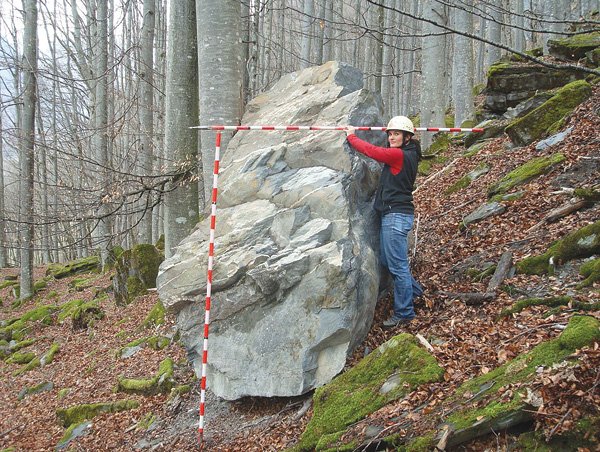 Steinschlag (Sachschaden) – Wikipedia