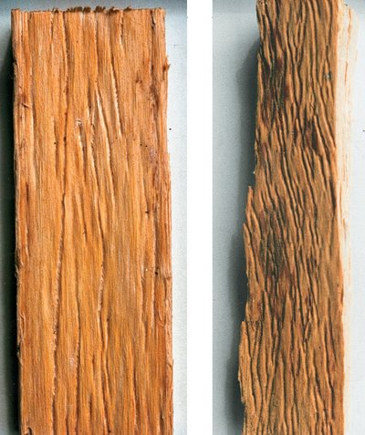 Rillen im Holz