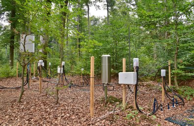 Untersuchungsgeräte auf Waldboden