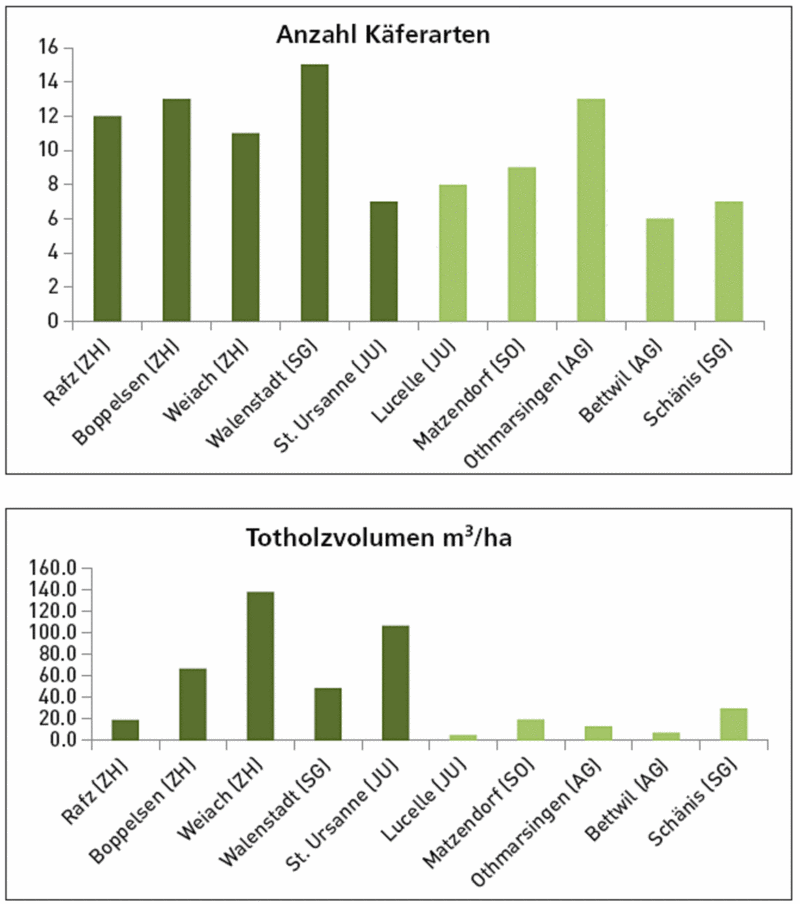 Artenzahl und Totholzvolumen