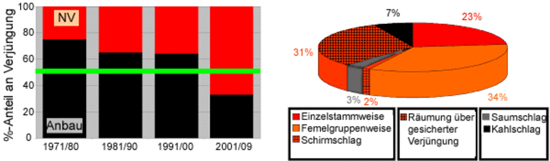Linke Grafik: Anteil der Naturverjüngung am Verjüngungszugang. Rechte Grafik: Hiebsarten beim geplanten Verjüngungszugang.